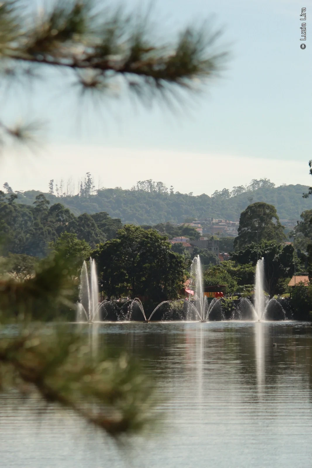 Lago com fontes, árvores e galhos desfocados em primeiro plano